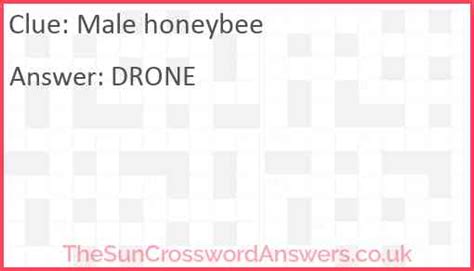 male honeybee crossword|Male honeybee crossword clue .